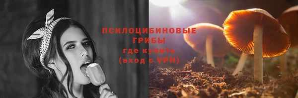 дмт Абаза