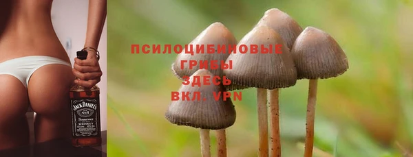 МДПВ Абинск