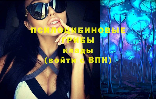 ГАЛЛЮЦИНОГЕННЫЕ ГРИБЫ Абдулино